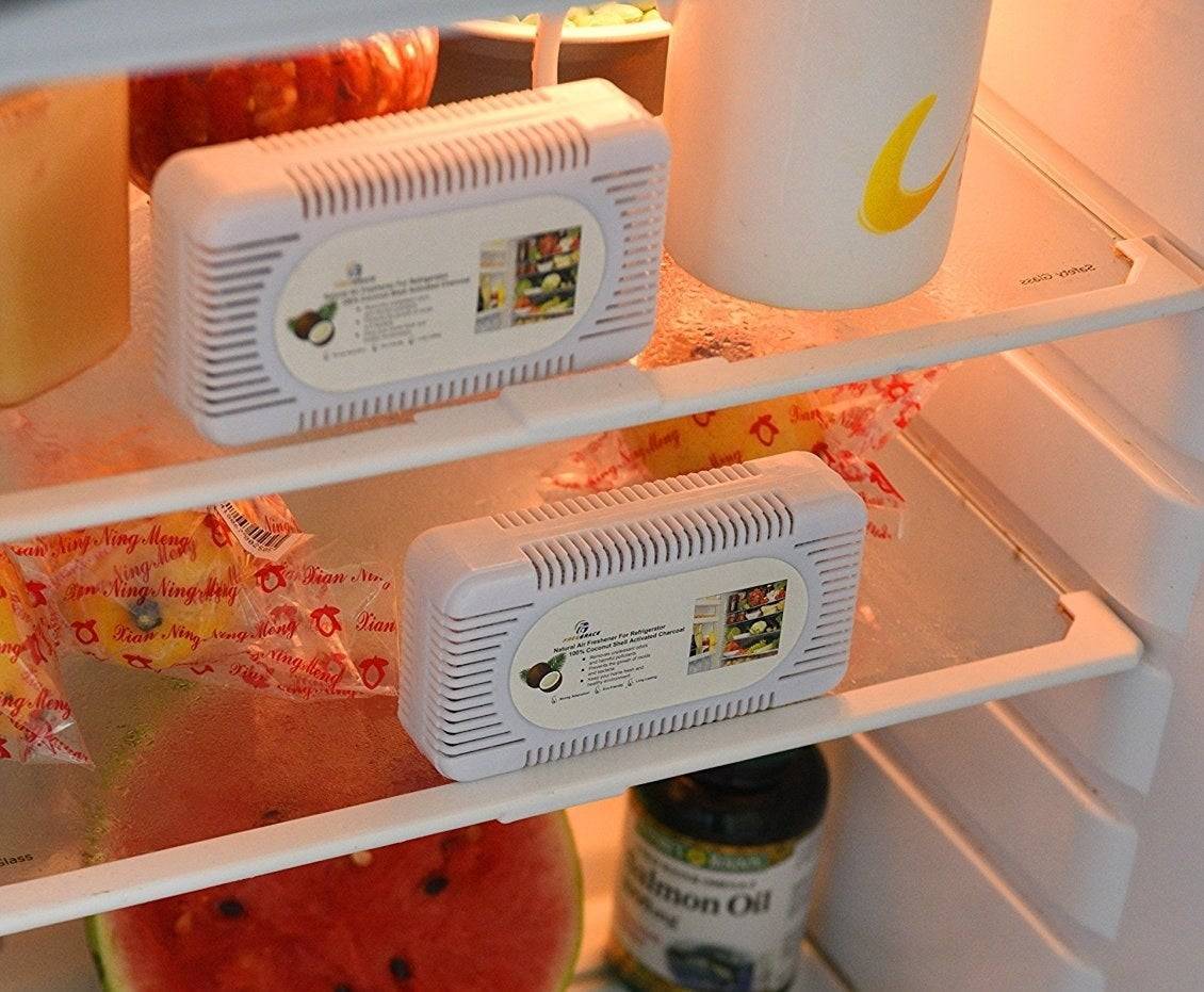Плесень в холодильнике: как избавиться и убрать запах