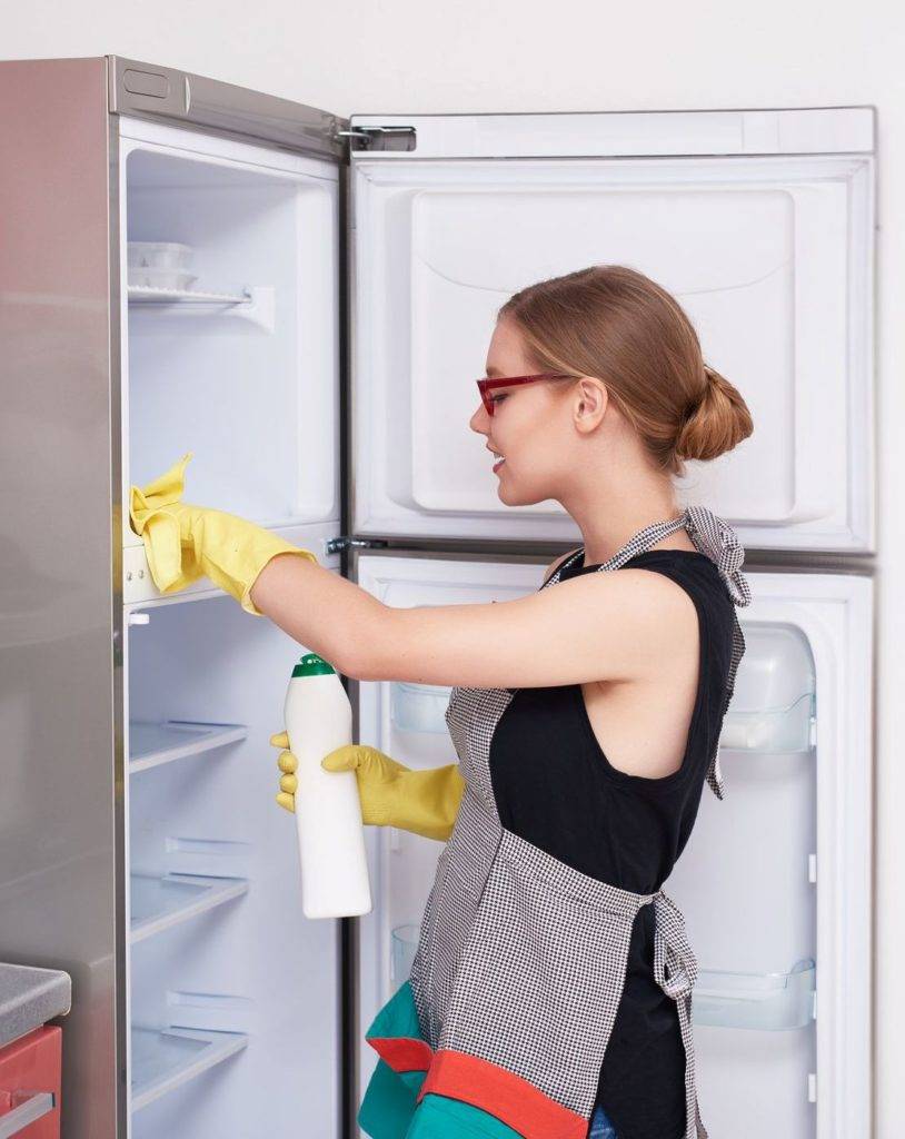 Чем помыть новый холодильник перед первым включением. народные средства и бытовая химия