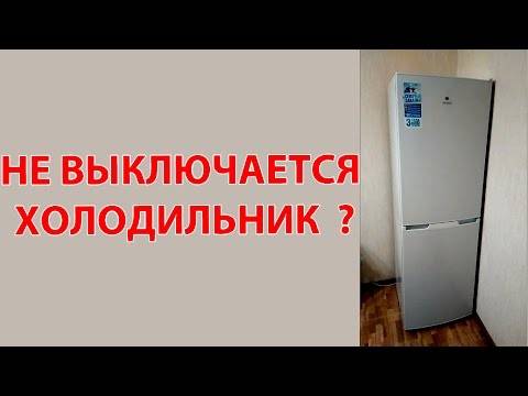 Почему холодильник после разморозки не отключается? почему не отключается холодильник ноу фрост?