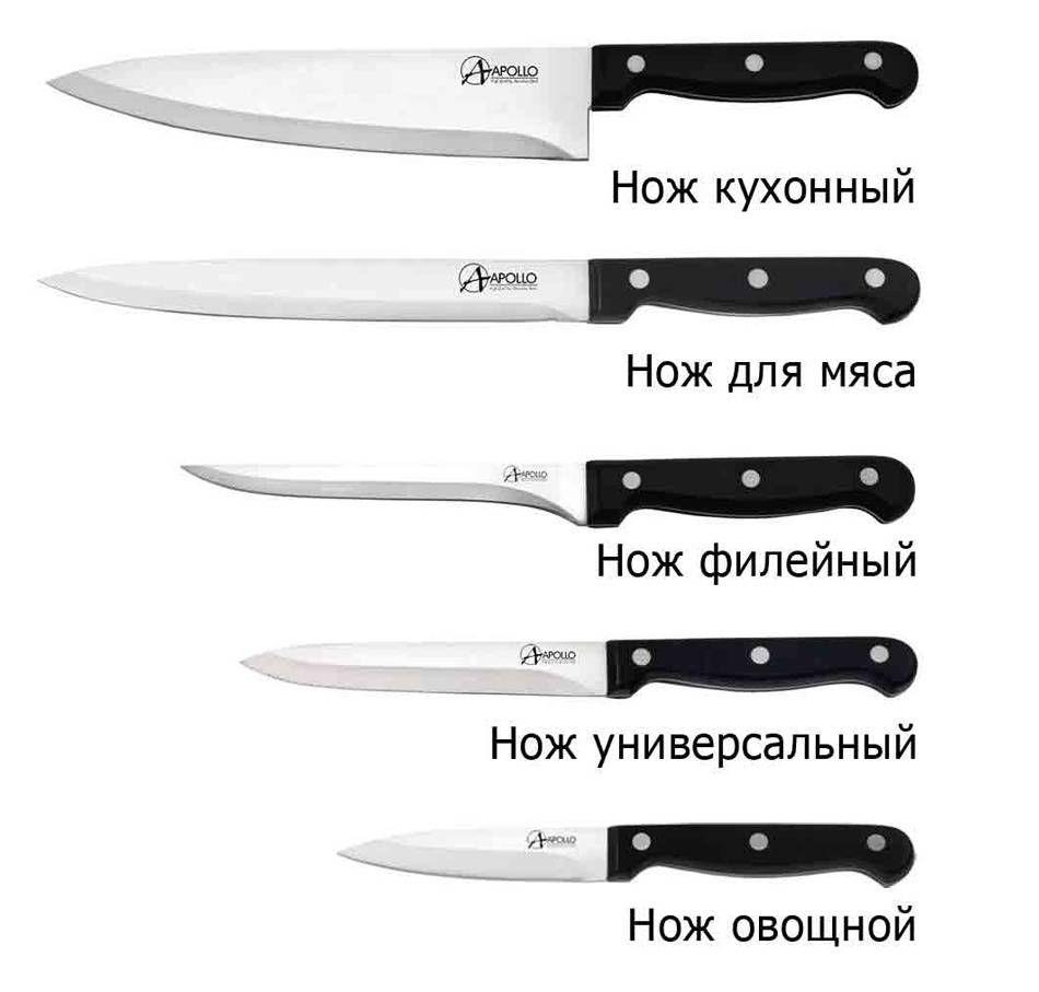 Виды ножевых. Кухонный нож Apollo. Название кухонных ножей. Формы кухонных ножей. Ножи предназначение кухонные.