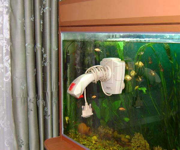Как правильно установить обогреватель в аквариум?